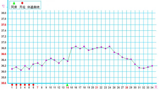 怀孕一个月基础体温曲线图知识总结-怀孕期