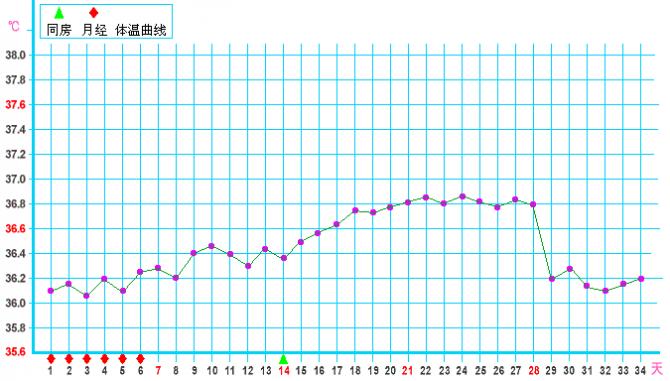 怀孕一个月基础体温曲线图知识总结-怀孕期